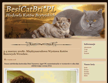 Tablet Screenshot of besicatbri.pl